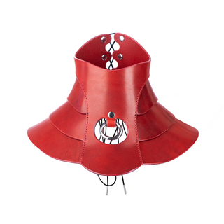 Posture collar HOLD