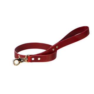 Leash MAGNUS