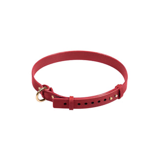 Ensemble de retenue SLIM