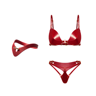 Seductive Leather Set