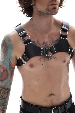 Harness CENTURIO
