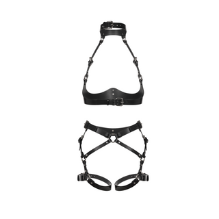 Set Harness INFERA